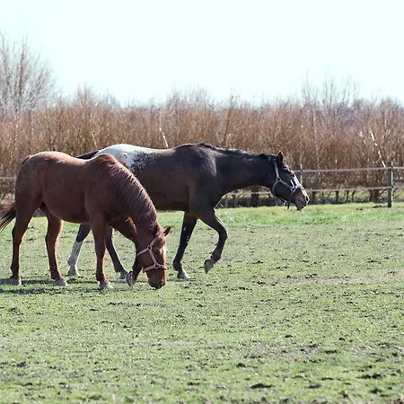 Ca' Ciaran Nocleg ze śniadaniem 4*