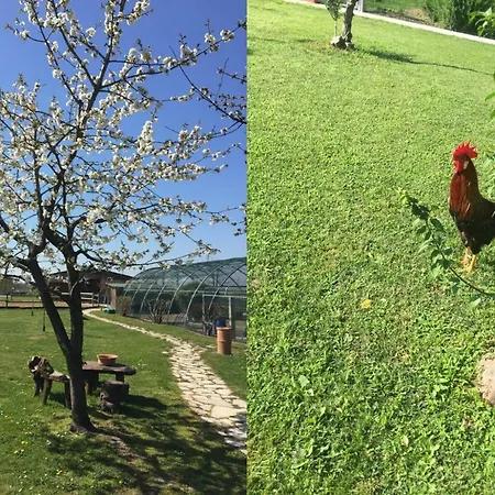 Ca' Ciaran ベッド・アンド・ブレックファスト 4*